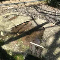 浄瑠璃寺の写真・動画_image_195949