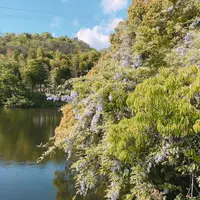 第五十番繁多寺の写真・動画_image_195971