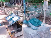 酒列磯前神社の写真・動画_image_196037