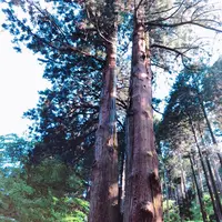 御岩神社の写真・動画_image_196044