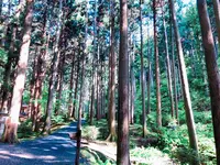 御岩神社の写真・動画_image_196045