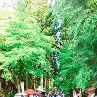 御岩神社の写真・動画_image_196046