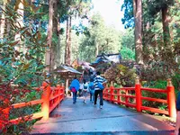 御岩神社の写真・動画_image_196047