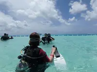 Manyagaha Island（マニャガハ島）の写真・動画_image_196169