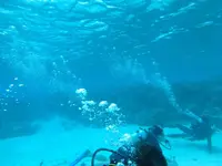 Manyagaha Island（マニャガハ島）の写真・動画_image_196173