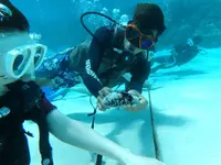 Manyagaha Island（マニャガハ島）の写真・動画_image_196176