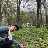 稲庭高原の写真・動画_image_196198