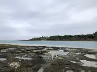 奥武島の写真・動画_image_196245