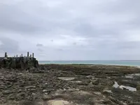 奥武島の写真・動画_image_196246