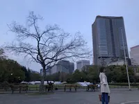 日比谷公園の写真・動画_image_196276