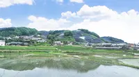 d:matcha Kyoto CAFE&KITCHENの写真・動画_image_196293