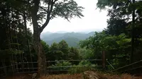 子ノ権現天龍寺の写真・動画_image_196383