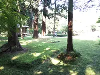 中尊寺の写真・動画_image_196437