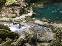 仁淀川の写真・動画_image_196635