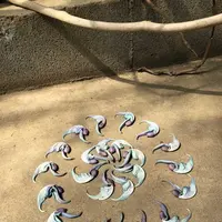 下賀茂熱帯植物園の写真・動画_image_196685