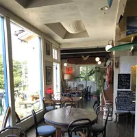 スパイスドッグ （Spicedog） の写真・動画_image_196686