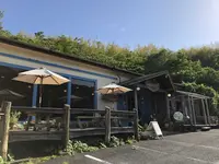 スパイスドッグ （Spicedog） の写真・動画_image_196688