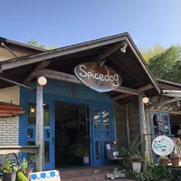 スパイスドッグ （Spicedog） の写真・動画_image_196690