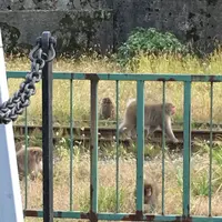 宇奈月温泉の写真・動画_image_196703