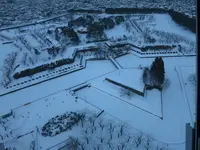 五稜郭公園の写真・動画_image_19671