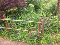 北川村「モネの庭」マルモッタンの写真・動画_image_196715