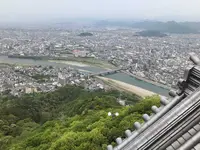 岐阜城の写真・動画_image_196828