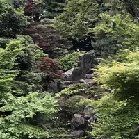 川越大師 喜多院の写真・動画_image_196830