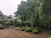 川越大師 喜多院の写真・動画_image_196831