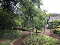 川越大師 喜多院の写真・動画_image_196832