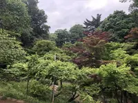 川越大師 喜多院の写真・動画_image_196833