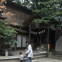 川越氷川神社の写真・動画_image_196841