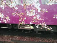 鳴滝駅の写真・動画_image_196919