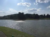 国指定特別史跡 無量光院跡の写真・動画_image_196958