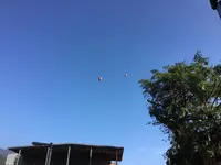 十分老街の写真・動画_image_196975