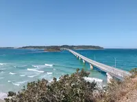 角島大橋 (つのしまおおはし)の写真・動画_image_196985