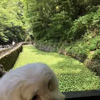 浄蓮の滝の写真・動画_image_197032