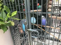 プラカの写真・動画_image_197180