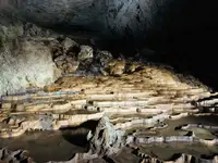 秋芳洞の写真・動画_image_197254