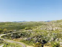 秋吉台の写真・動画_image_197259