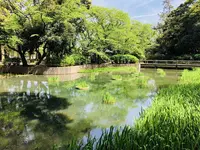 出雲大社の写真・動画_image_197349