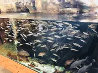 宍道湖自然館ゴビウスの写真・動画_image_197356