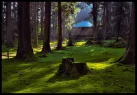 結神社の写真・動画_image_197374