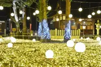 春日神社の写真・動画_image_197384