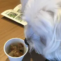 寄七つ星カフェの写真・動画_image_197409