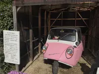 花のじゅうたんの写真・動画_image_197516