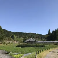 永沢寺花しょうぶ園の写真・動画_image_197521