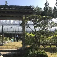 永沢寺花しょうぶ園の写真・動画_image_197522