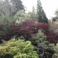 永沢寺花しょうぶ園の写真・動画_image_197523