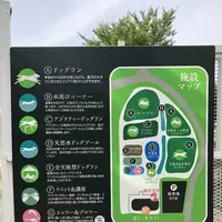 寄七つ星ドッグランの写真・動画_image_197583