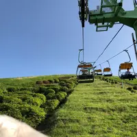 大室山の写真・動画_image_197645